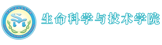 304永利
